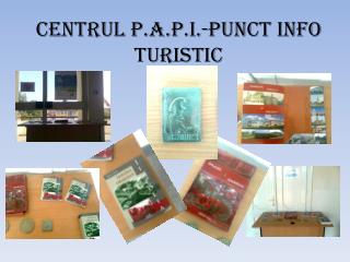 CENTRUL P.A.P.I.-PUNCT INFO TURISTIC