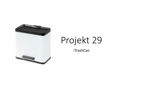 Projekt 29
