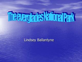 Lindsey Ballantyne