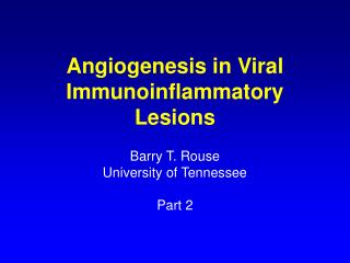 Angiogenesis in Viral Immunoinflammatory Lesions