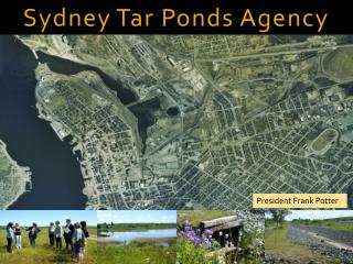Sydney Tar Ponds Agency