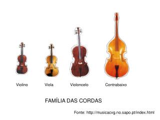 Violino Viola Violoncelo Contrabaixo