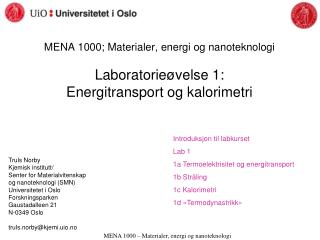 Truls Norby Kjemisk institutt/ Senter for Materialvitenskap og nanoteknologi (SMN)