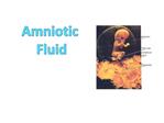Amniotic Fluid