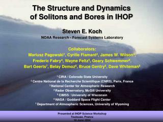 The Structure and Dynamics of Solitons and Bores in IHOP