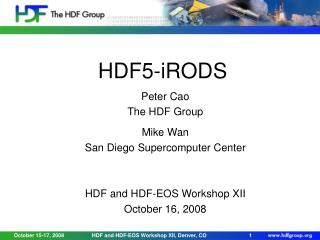 HDF5-iRODS