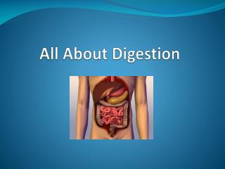 All About Digestion