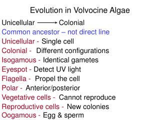 Evolution in Volvocine Algae