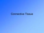 Connective Tissue