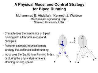 A Physical Model and Control Strategy for Biped Running