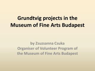 Grundtvig projects in the Museum of Fine Arts Budapest
