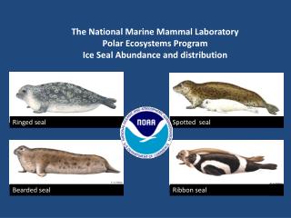 The National Marine Mammal Laboratory Polar Ecosystems Program Ice Seal Abundance and distribution