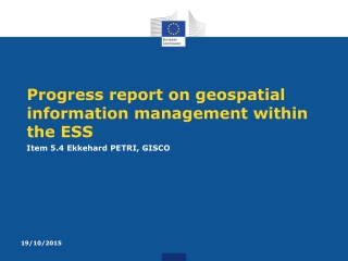 Progress report on geospatial information management within the ESS