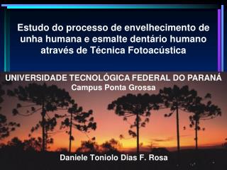 Daniele Toniolo Dias F. Rosa
