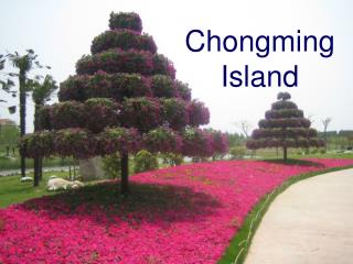 Chongming Island