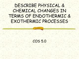 DESCRIBE PHYSICAL & CHEMICAL CHANGES IN TERMS OF ENDOTHERMIC & EXOTHERMIC PROCESSES