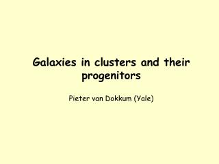 Galaxies in clusters and their progenitors