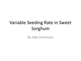 Variable Seeding Rate in Sweet Sorghum