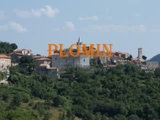 PLOMIN