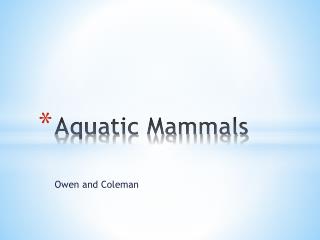 Aquatic Mammals