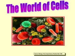 The World of Cells