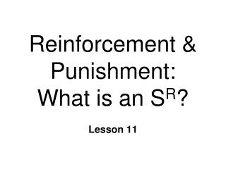 Reinforcement &amp; Punishment: What is an S R ?