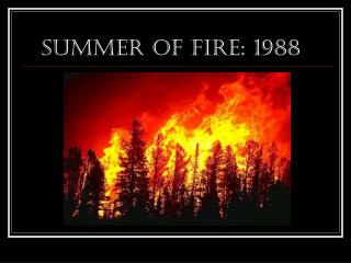 Summer of FIRE: 1988