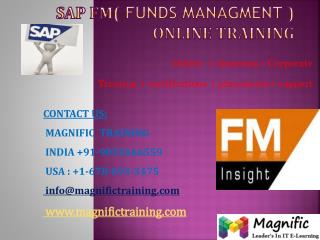 SAP FM ONLINE TRAINING USA