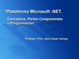 “Plataforma Microsoft .NET.