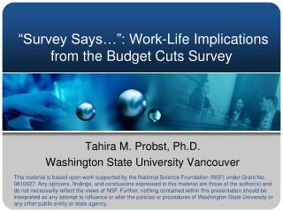 “Survey Says…”: Work-Life Implications from the Budget Cuts Survey