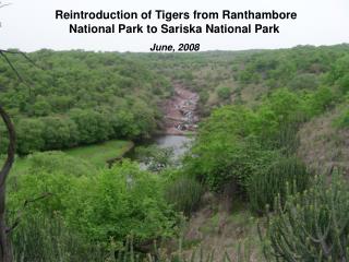 Reintroduction of Tigers from Ranthambore National Park to Sariska National Park June, 2008