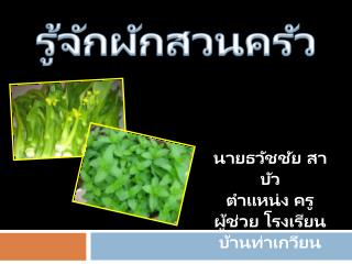 รู้จักผัก สวนครัว