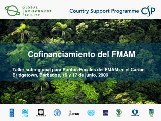 Cofinanciamiento del FMAM