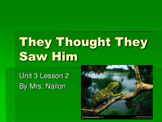 They Thought They Saw Him