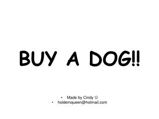 BUY A DOG!!