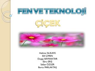 ÇİÇEK