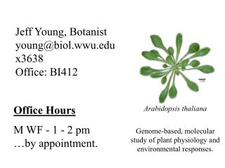 Jeff Young, Botanist young@biol.wwu x3638 Office: BI412