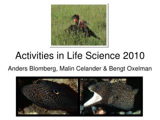 Activities in Life Science 2010 Anders Blomberg, Malin Celander &amp; Bengt Oxelman