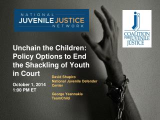 David Shapiro National Juvenile Defender Center George Yeannakis TeamChild