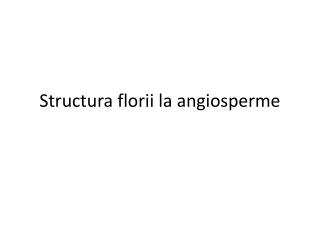 Structura florii la angiosperme