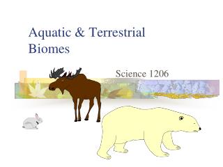 Aquatic &amp; Terrestrial Biomes