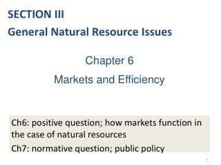 Chapter 6 Markets and Efficiency