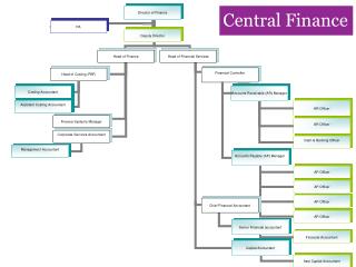 1172 Response Central Finance Structure Mar 2013