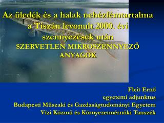 Fleit Ernő egyetemi adjunktus Budapesti Műszaki és Gazdaságtudományi Egyetem