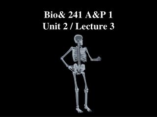 Bio& 241 A&P 1 Unit 2 / Lecture 3
