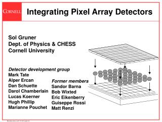 Integrating Pixel Array Detectors