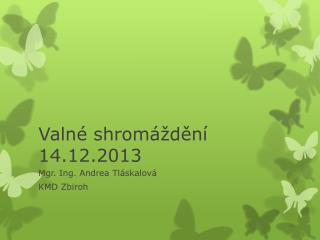 Valné shromáždění 14.12.2013