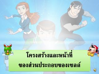 โครงสร้างและหน้าที่ ของส่วนประกอบของเซลล์