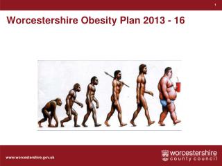 Worcestershire Obesity Plan 2013 - 16