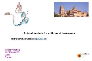 Animal models for childhood leukaemia Isidro Sánchez-García ( isg@usal.es )